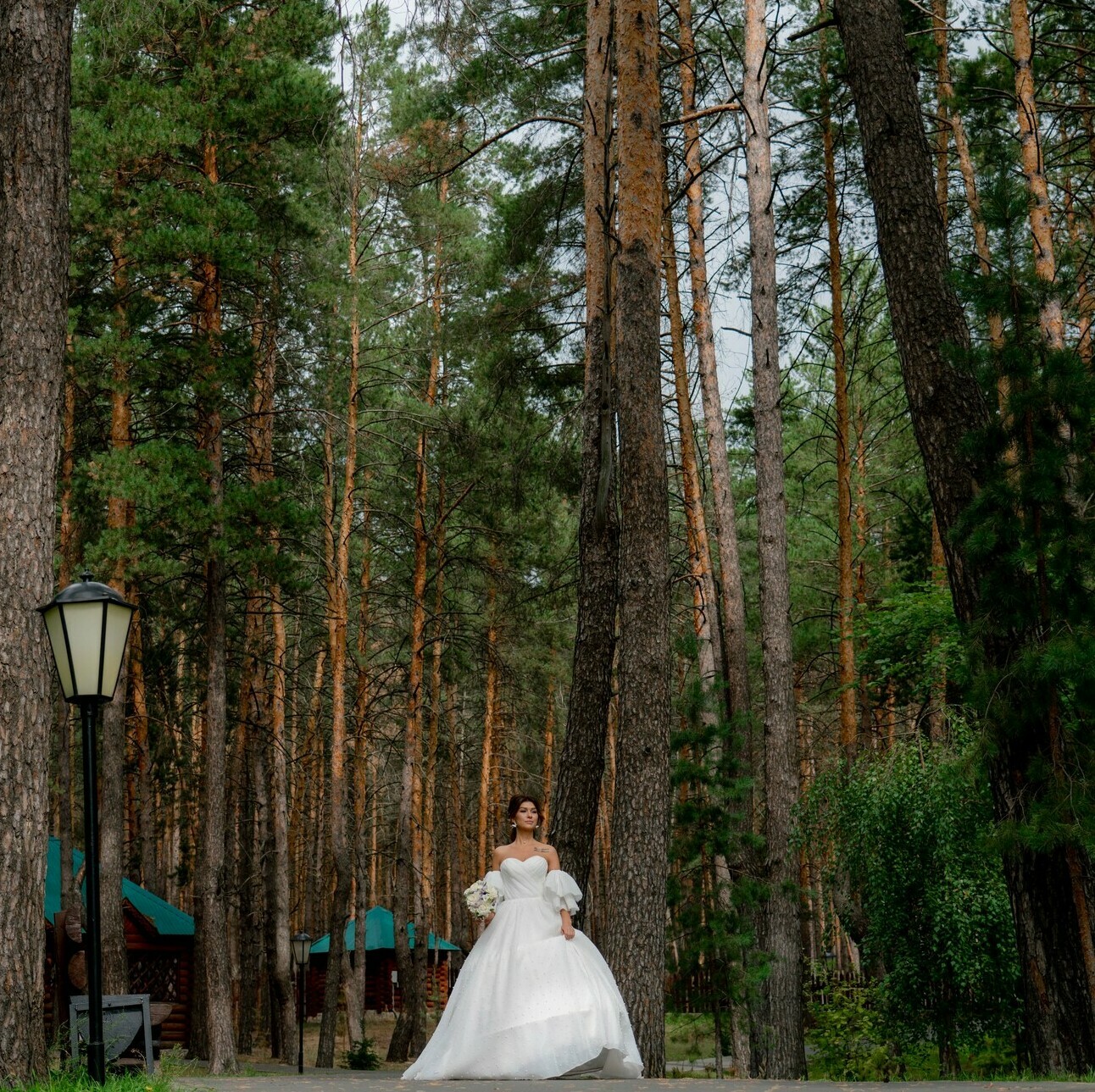 wedding photo, beauty, white dress, wedding bouquet of flowers, bright sun, soft light, birch, spruce,